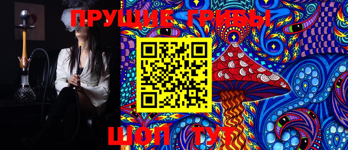 Галлюциногенные грибы Psilocybine cubensis Обь